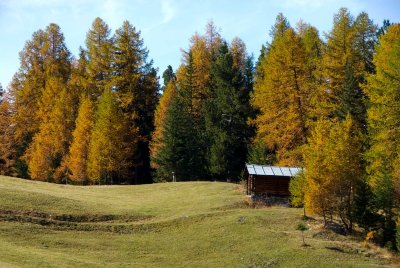 Itinéraire de randonnée pédestre familiale  : Chemin du Bois de la Follie