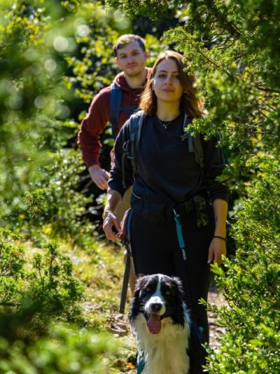 La Mécanique des Lettres - Spectacle documentaire