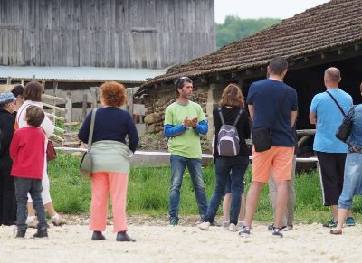 Visite découverte de l'Asinerie des Combes