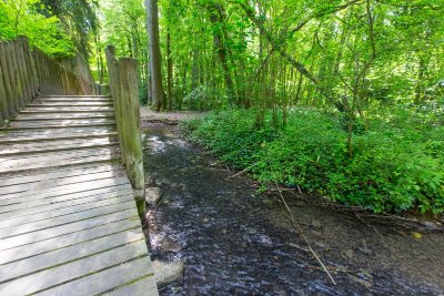Le Sentier du Ruisseau de Rochecardon