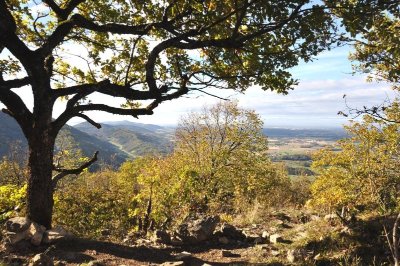 Château de Montfort, éperon barré celte ou site médiéval