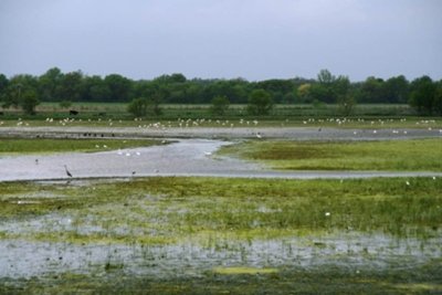 Le Cailar, village emblématique de la Camargue gardoise