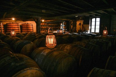 Visite Delamain Cognac