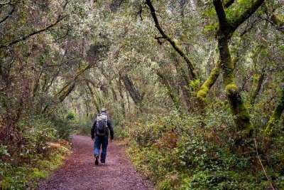 Randonnée entre mer & forêt