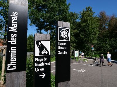 Chemin des marais de la Véronnière et du Courbon