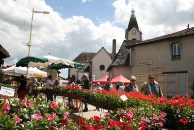 Marché traditionnel de saint Paul des landes