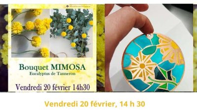 Exposition: Mimosa