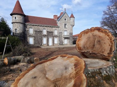 Château de Saint Romain Lachalm