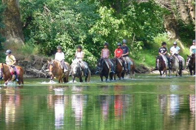 Ferme Equestre - Equitation Chavetourte