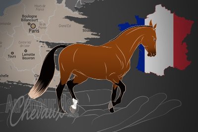 France Galop