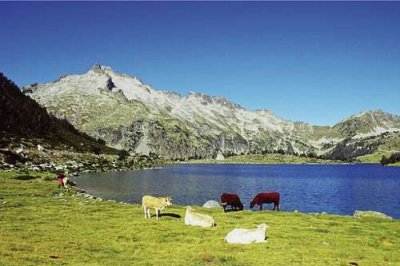 Fête des Marmottes - 01/03/2026