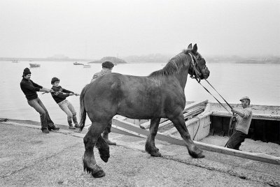 Exposition photographies "A terre en mer, les îles de Michel Thersiquel"
