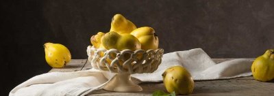 Exposition Carol Descordes