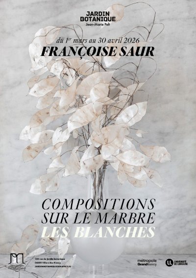 Exposition - Compositions sur le Marbre - Les Blanches