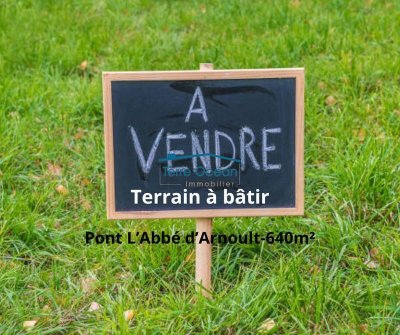 Visite contée pour enfants : Petit-arbre veut naviguer