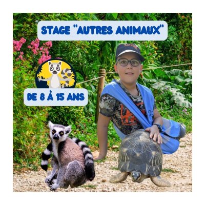 Stage animalier enfant