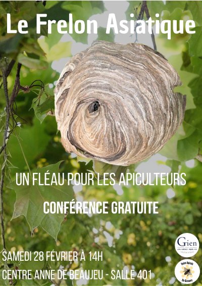 Déplacement du Marché