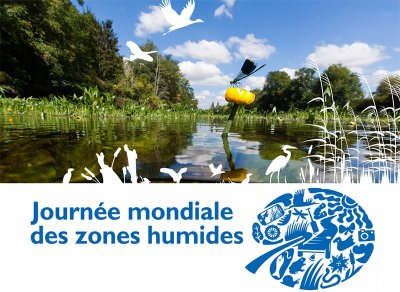 Exposition "Tressage des plantes"