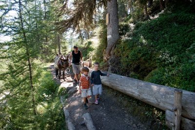 Itinéraire de randonnée pédestre : Sentier du Bief Bovet