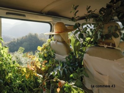 Yixi Tian "Dire aux montagnes que nous ne partons jamais" Exposition