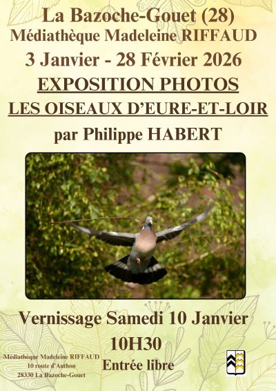Exposition photographique - Les oiseaux d'Eure-et-Loir