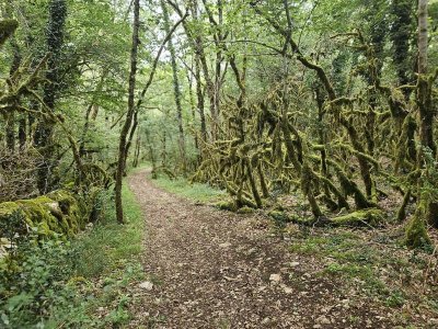 Boucle VTT 2 - Vallée de Saint Symphorien