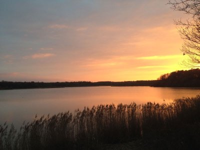 Réserve de chasse et de faune sauvage de Malzoné