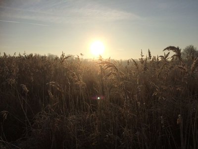 Réserve de chasse et de faune sauvage de Malzoné