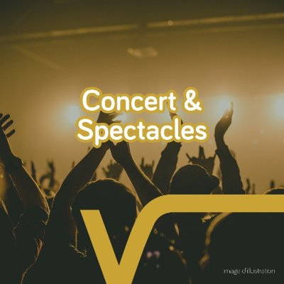 Concert Valentin Vander