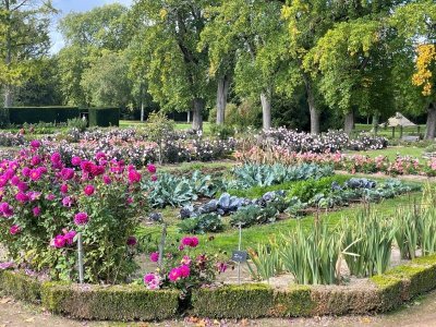 Le Château de La Motte-Feuilly