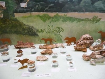 Exposition permanente du Museum Victor Brun