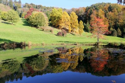Rando famille - l'arboretum-Itinéraire pédestre