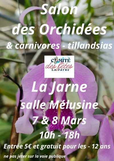 Salon - Salon des Orchidées