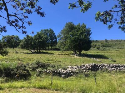 La Ferme de Rochebesse
