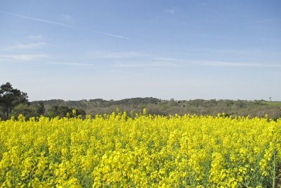Le chemin des crêtes