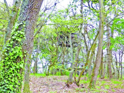 Bois et landes d'Urdès