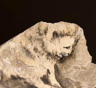 Expositions : Pierre Albasser de A à Z