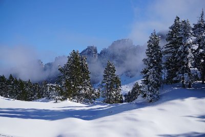 Balade accompagnée en raquettes à la Pierre Saint-Martin