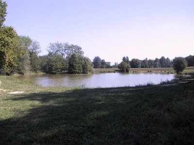 Etang de Gamarde