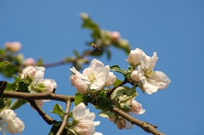 Exposition, trésors naturels du Limousin au Foyer Rural