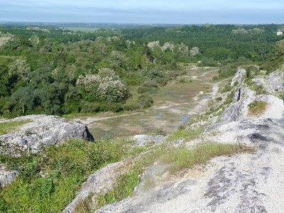 Sortie nature : Les amphibiens de la Réserve naturelle