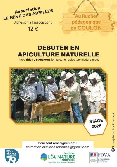 Stage en apiculture à Coulon