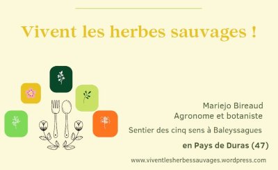 Sortie salades sauvages au Domaine les Hauts de Riquets