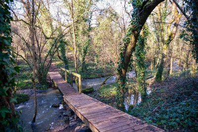 La Réserve Naturelle Régionale de la Vallée du Pressoir