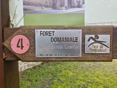 Forêt Domaniale - Saint-Sornin-Lavolps