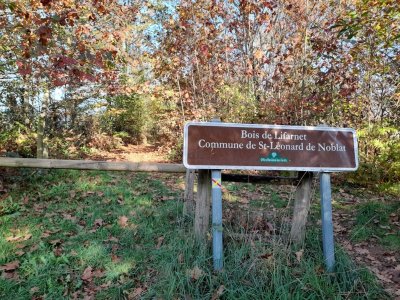 Forêt communale de Lifarnet