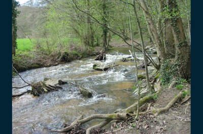 Le sentier Nature de l'Yzeron