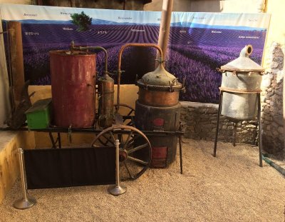 Musée de la Lavande