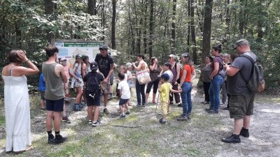 Forêt communale des Allois