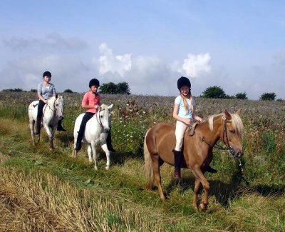 Ferme Equestre de la Haute Maison